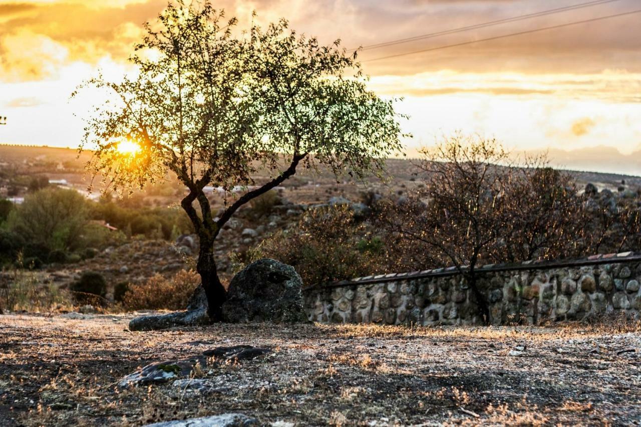 Finca El Cerco A 5M De Puy Du Fou Y 10M A Casco Antiguo De Toledo Villa Arges Bagian luar foto